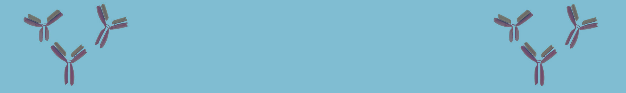Anti-Human Globulin