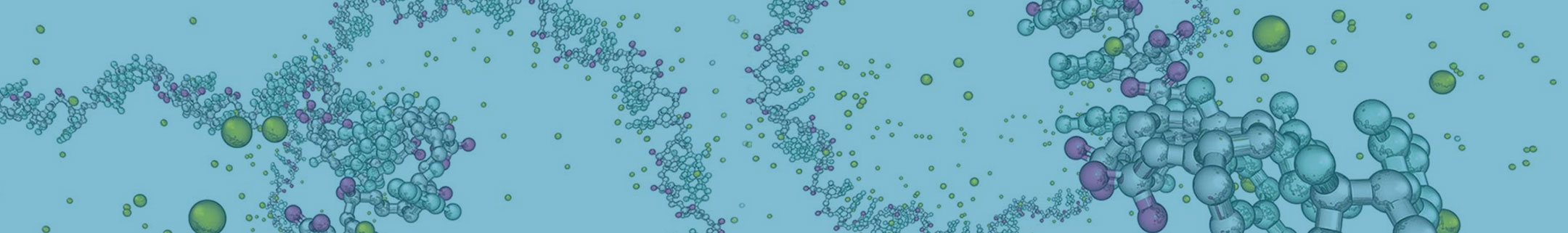 Automated Protein Sequencing