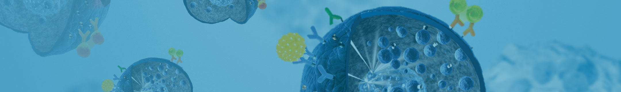 Allergen Response Assays