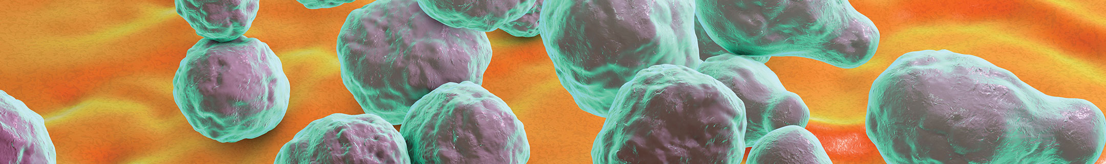 Cryptococcal antigen (CrAg) assays