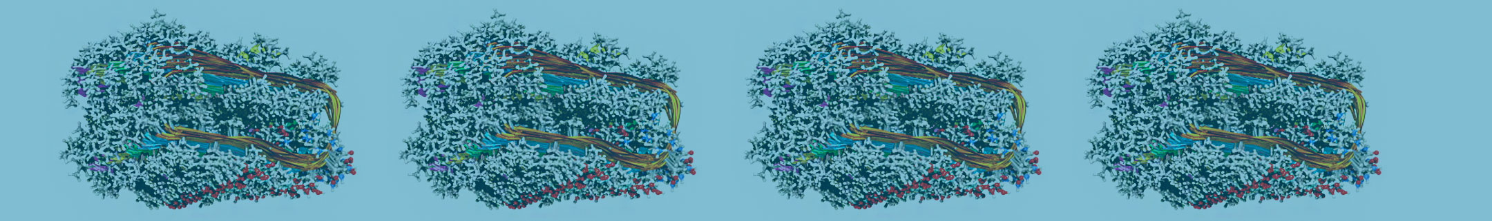 Biomarker ELISAs