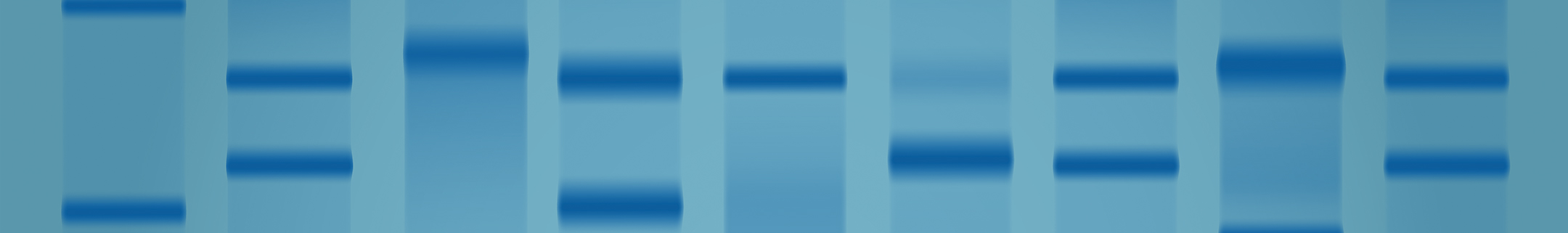 DNA Markers
