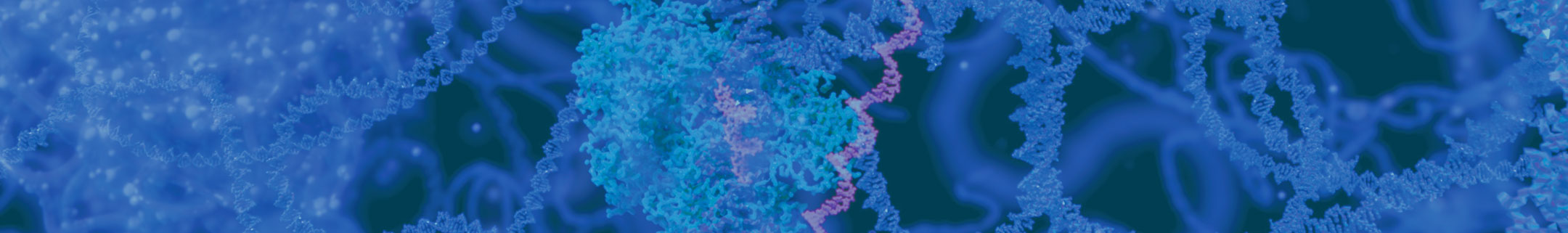 Enzymes for Cell & Tissue Culture