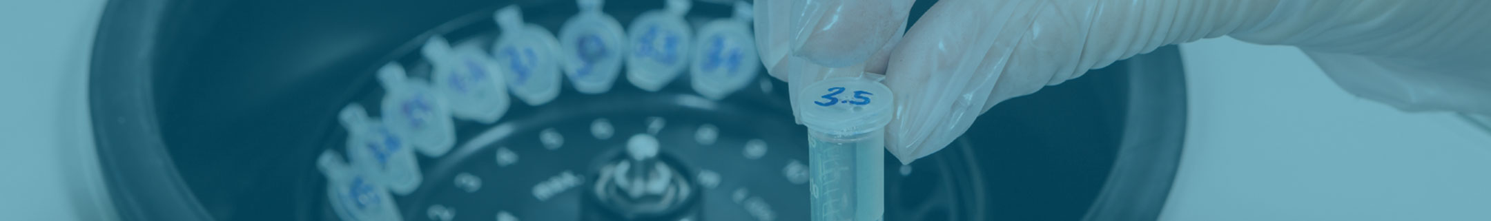 Glycobiology Reagents