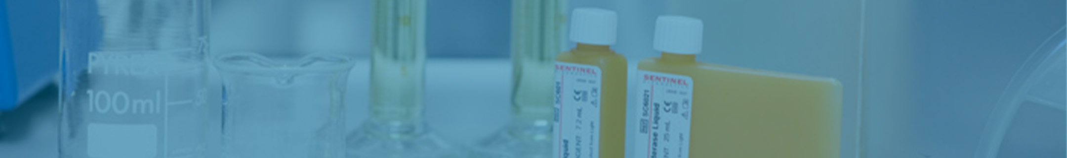 Immunochemistry Controls