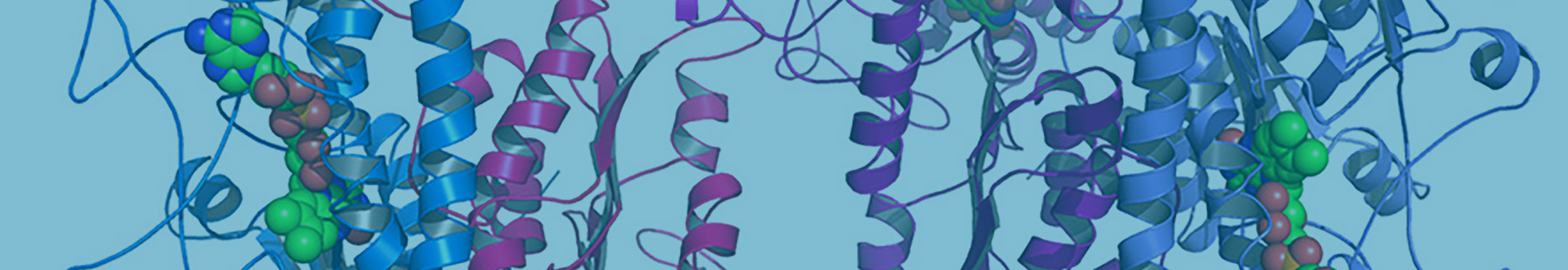 Specific Proteins