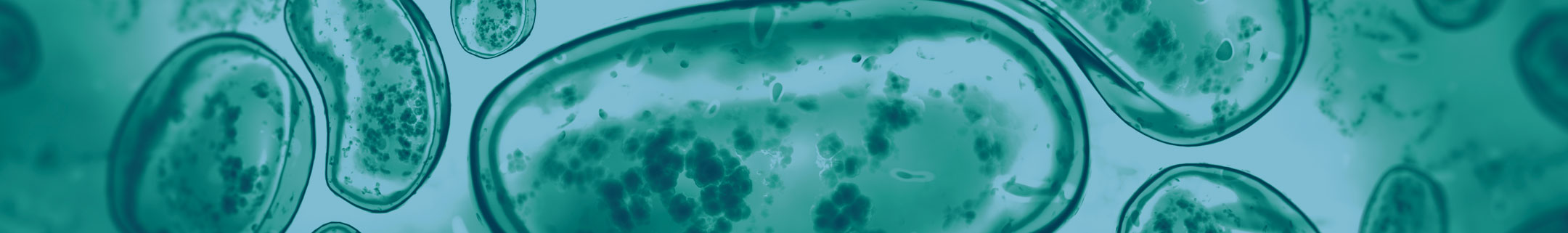PYROSTAR Reagents