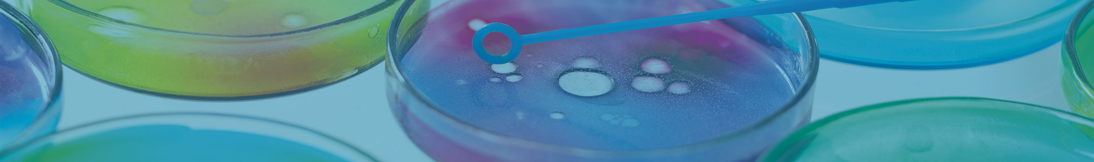 Petri Dishes