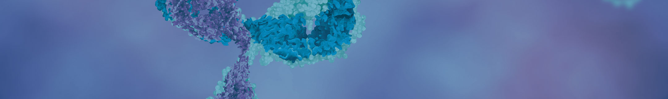 Primary Antibodies A to Z List Primary Antibodies A to Z List