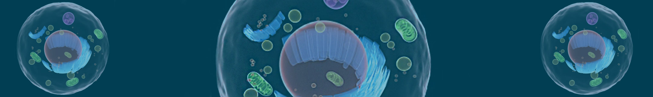 DNA Associated Proteins