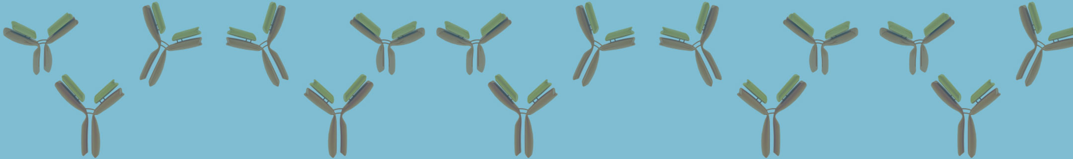 Miscellaneous Primary Antibodies
