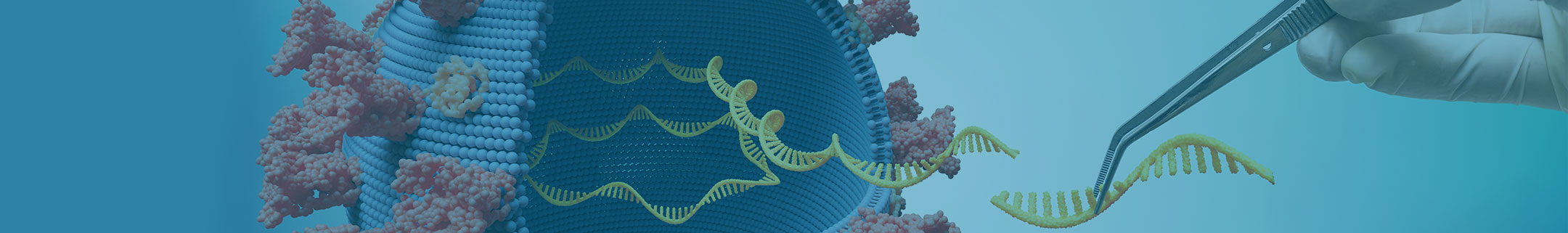RNA Extraction Kits