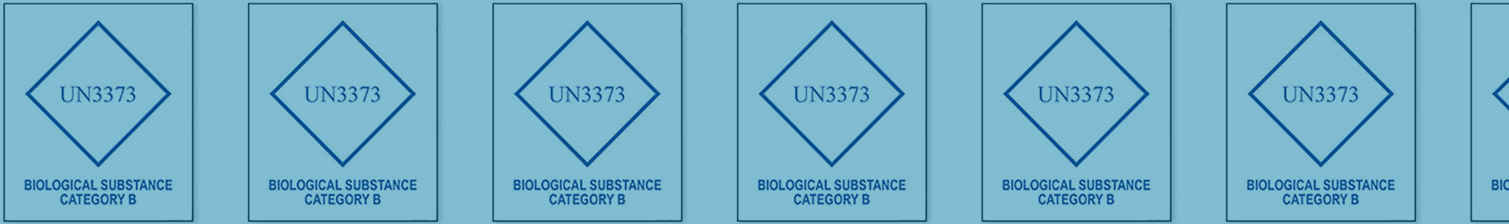 Temperature Protected Shipping Boxes