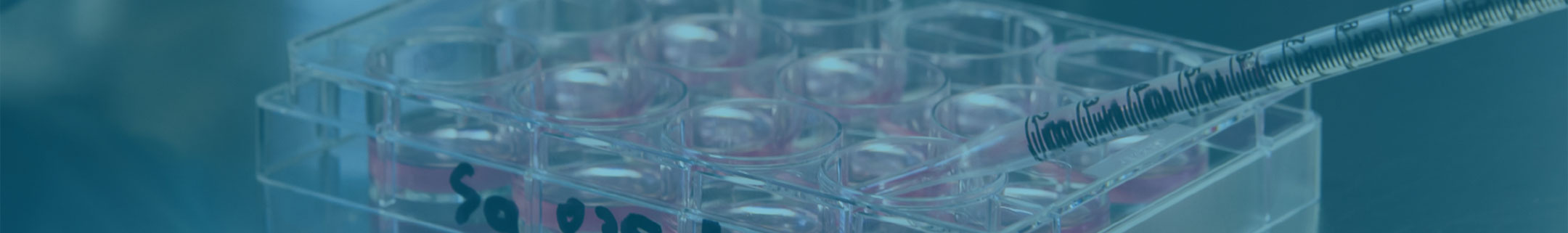 Tissue Culture Inserts and Uni-Wells
