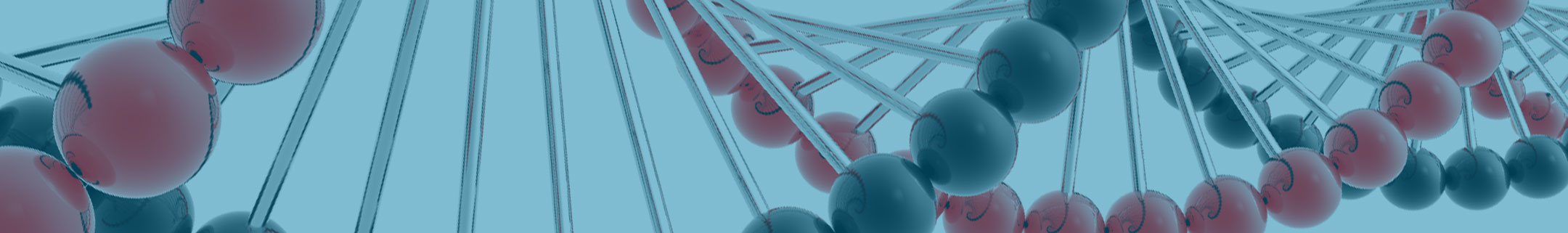 Transfection