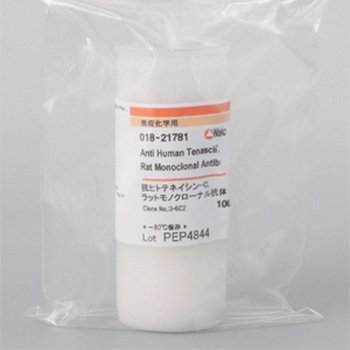 Anti-Human Tenascin-C Rat 