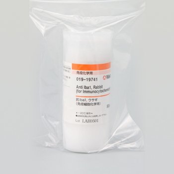 Anti-Iba1, Rabbit pAb