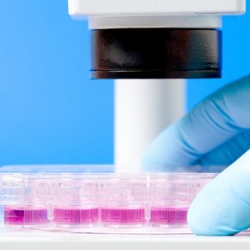 CultureSure(R) L-Alanine,