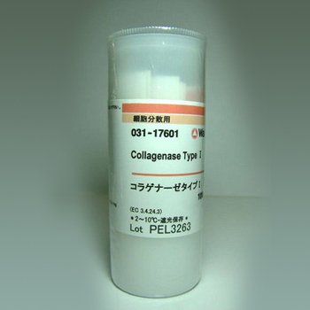 Collagenase Type I