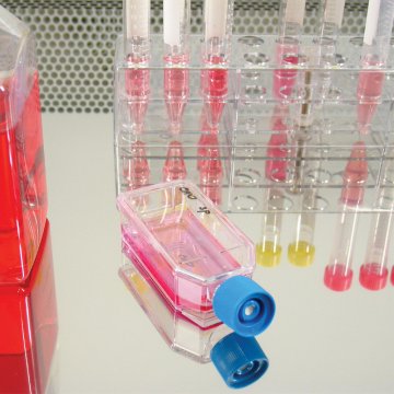 CultureSure(R) DMSO