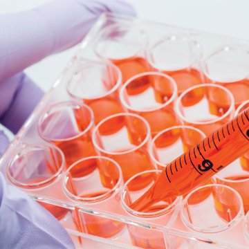 Cyclic Pifithrin-alpha Hydrobr