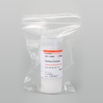 Choline Oxidase