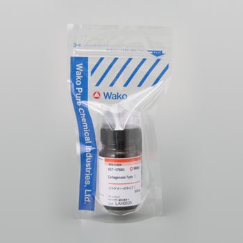 Collagenase Type I