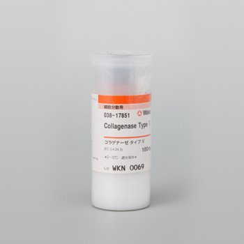 Collagenase Type V