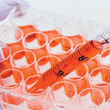 Fibroblast Growth Factor 