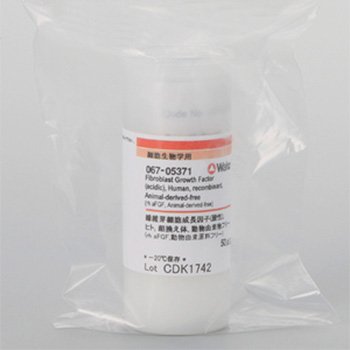 Fibroblast Growth Factor(