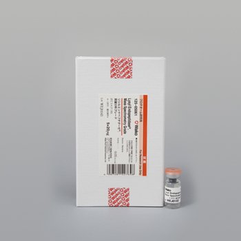 Lysyl Endopeptidase, Mass 