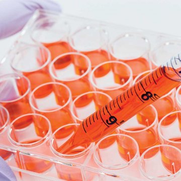 LIF, Human, recombinant, 