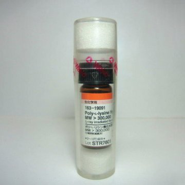 Poly-L-lysine Hydrobromide Ste