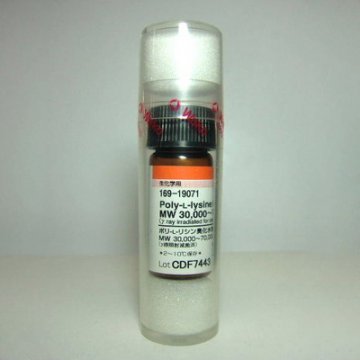 Poly-L-lysine Hydrobromide Ste