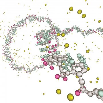 0.25% Trypsin EDTA S