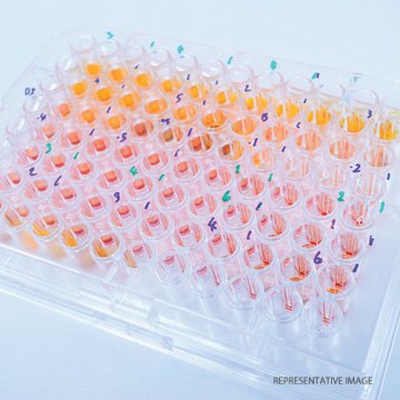 CD81-Capture Human Exosome