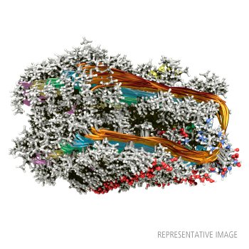 Human Beta Amyloid (