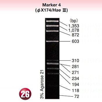 DNA MW Marker 4