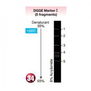 DGGE Marker I (5