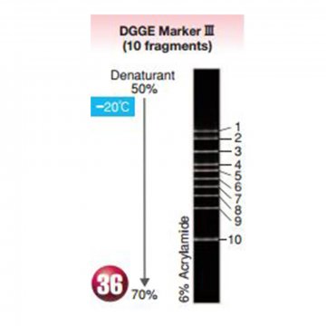 DGGE Marker III (10&