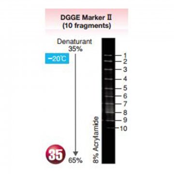 DGGE Marker II (10&#