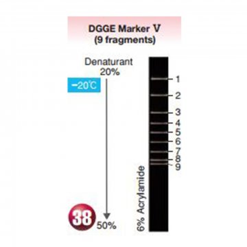 DGGE Marker V (9
