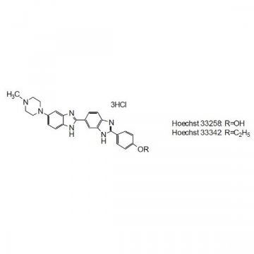 Cellstain Hoechst 33258 S