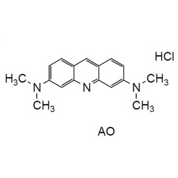 Cellstain AO Solution &#x