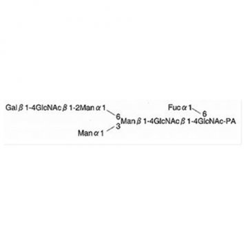 PA-Sugar Chain Standard 0