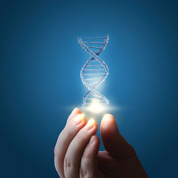 QuickGene SP kit DNA 
