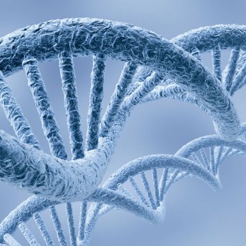 AS-RT AutoS RNA Extractio