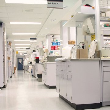 LabAssay Creatinine