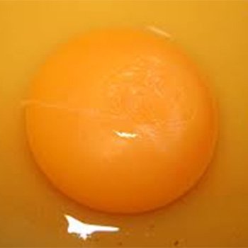 Egg Yolk Allergen