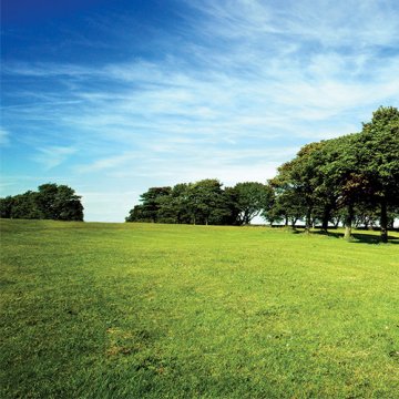 6-Grass Mix (Allergen